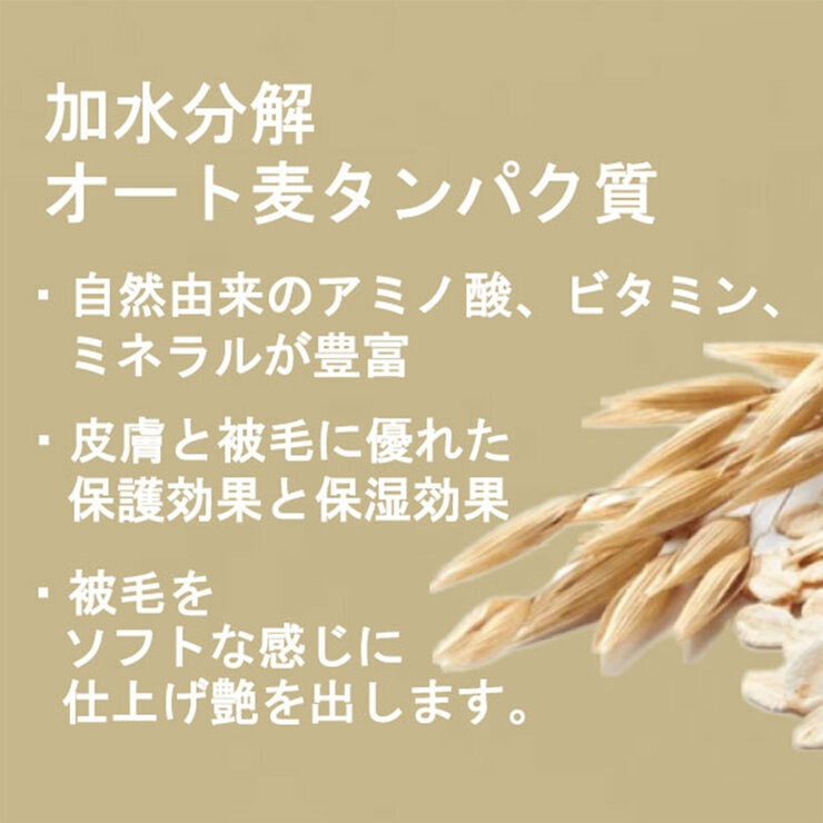 PAUL MITCHELL Pet オートミールシャンプ 3.78L