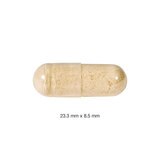 Webber Naturals Maca + Korean Ginseng 200 Count