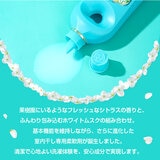 arFUM アフューム プレミアム柔軟剤 ジンジャーフラワー 衣料用柔軟剤 ジンジャーフラワーの香り 本体1L + 替1.7 L arFUM アフューム プレミアム柔軟剤 ジンジャーフラワー 衣料用柔軟剤 ジンジャーフラワーの香り 本体1L + 替1.7 L