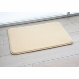 乾きやすいバスマット アモ プラス 35x50cm 2枚セット