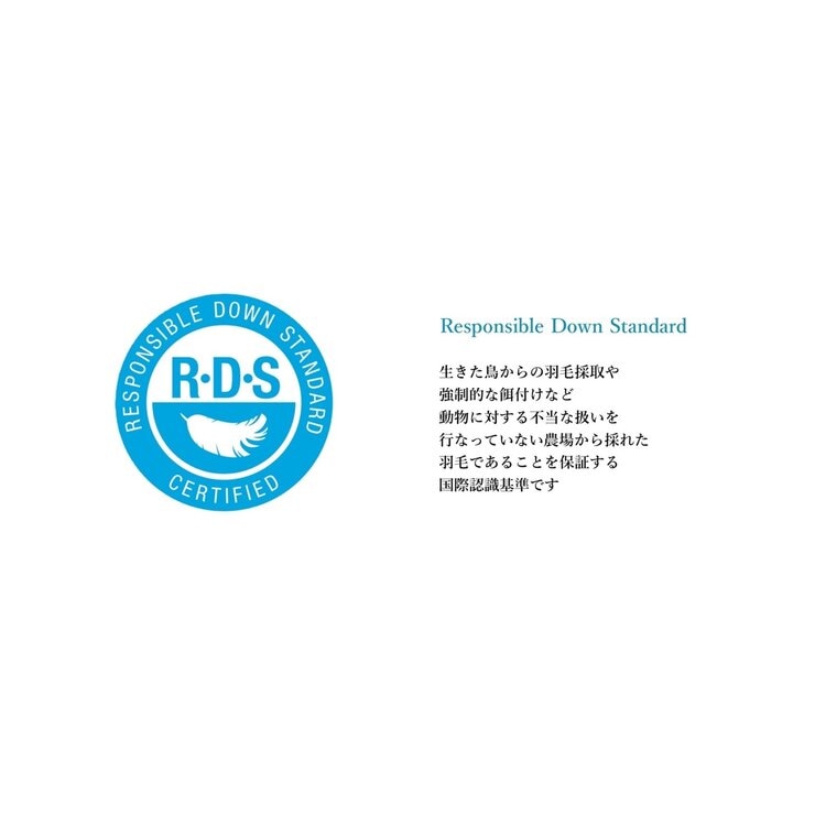 羽毛肌掛け ナチュラルダックダウン50％ シングル