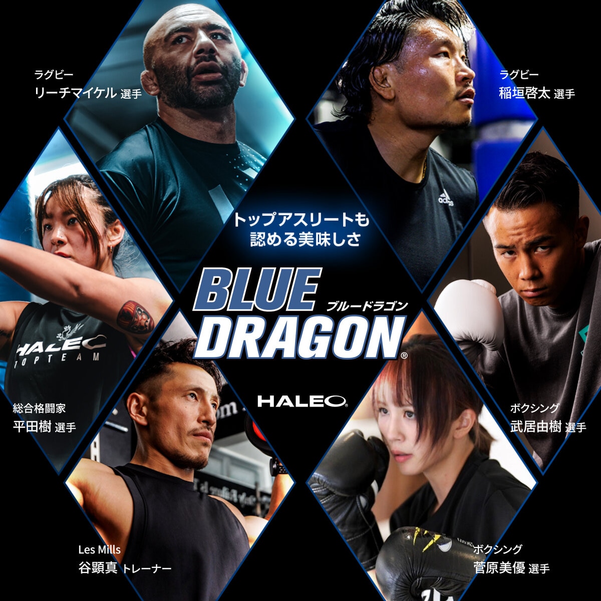 HALEO プロテインドリンク ストロベリーミルク風味 200ml x 24本