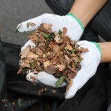 ヤードフォース リーフシュレッダー 雑草 落ち葉 粉砕機