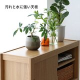 デュアルリビングボード