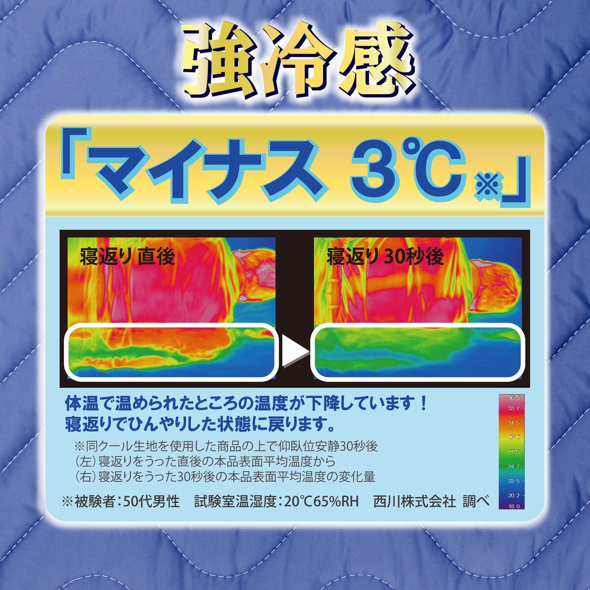 西川 冷感まくらカバー 2枚パック