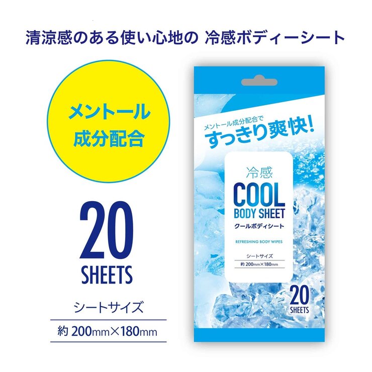 クールボディシート 20シート x 48パック