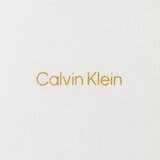 カルバンクライン レディース 半袖ロゴTシャツ ブライトホワイト L