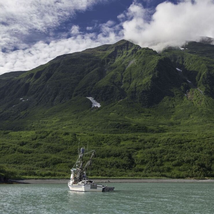 トライデント オメガ3 天然アラスカサーモンオイル 333mg 540粒