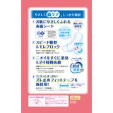 ポイズさらさら吸水ナプキン 100cc 24枚