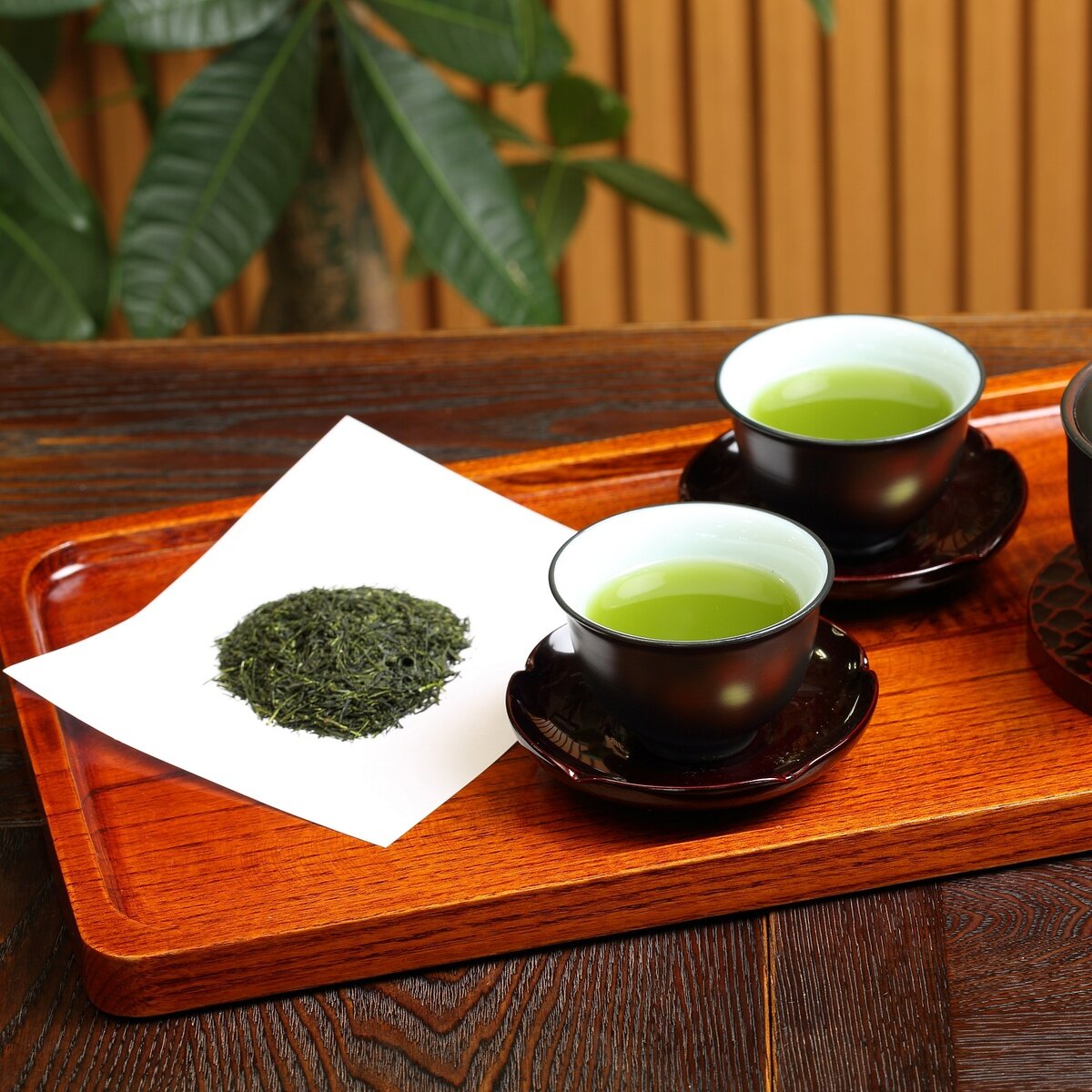 古賀製茶 九州産煎茶 600g