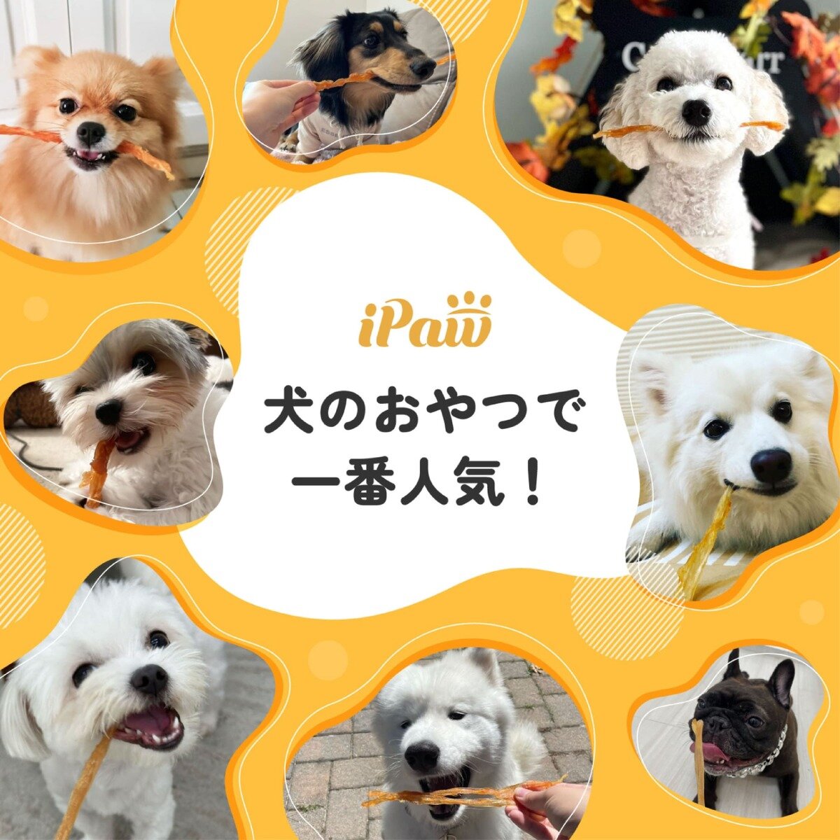 iPaw (アイポー) ターキーアキレス 犬用おやつ ロング 75g x 3袋
