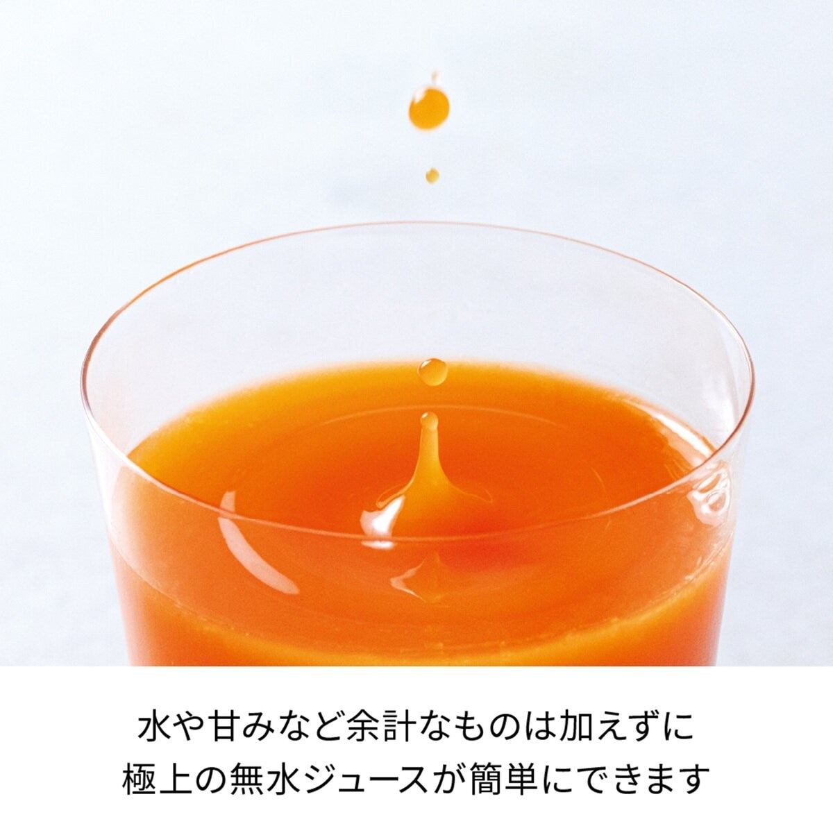 レコルト コールドプレスジューサー ミニ RCJ-1