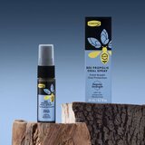 コンビタ プロポリス オーラルスプレー 20ml
