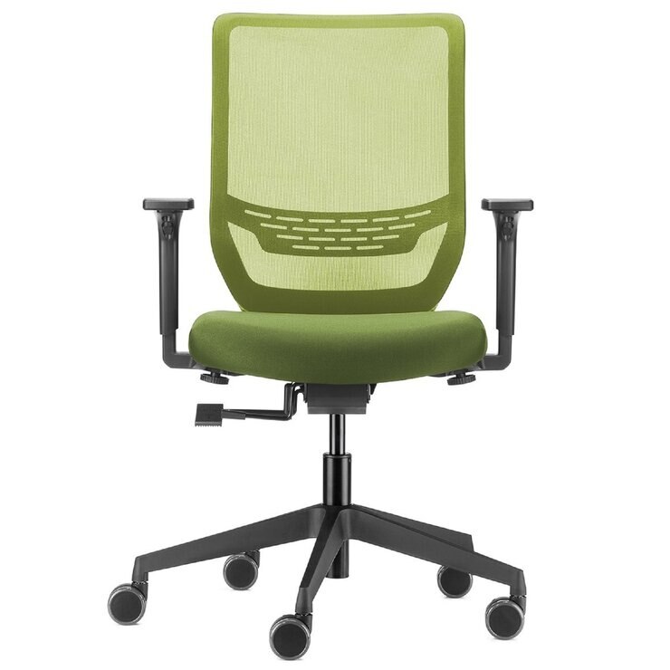 ドーファン トゥーシンクチェア 肘付き