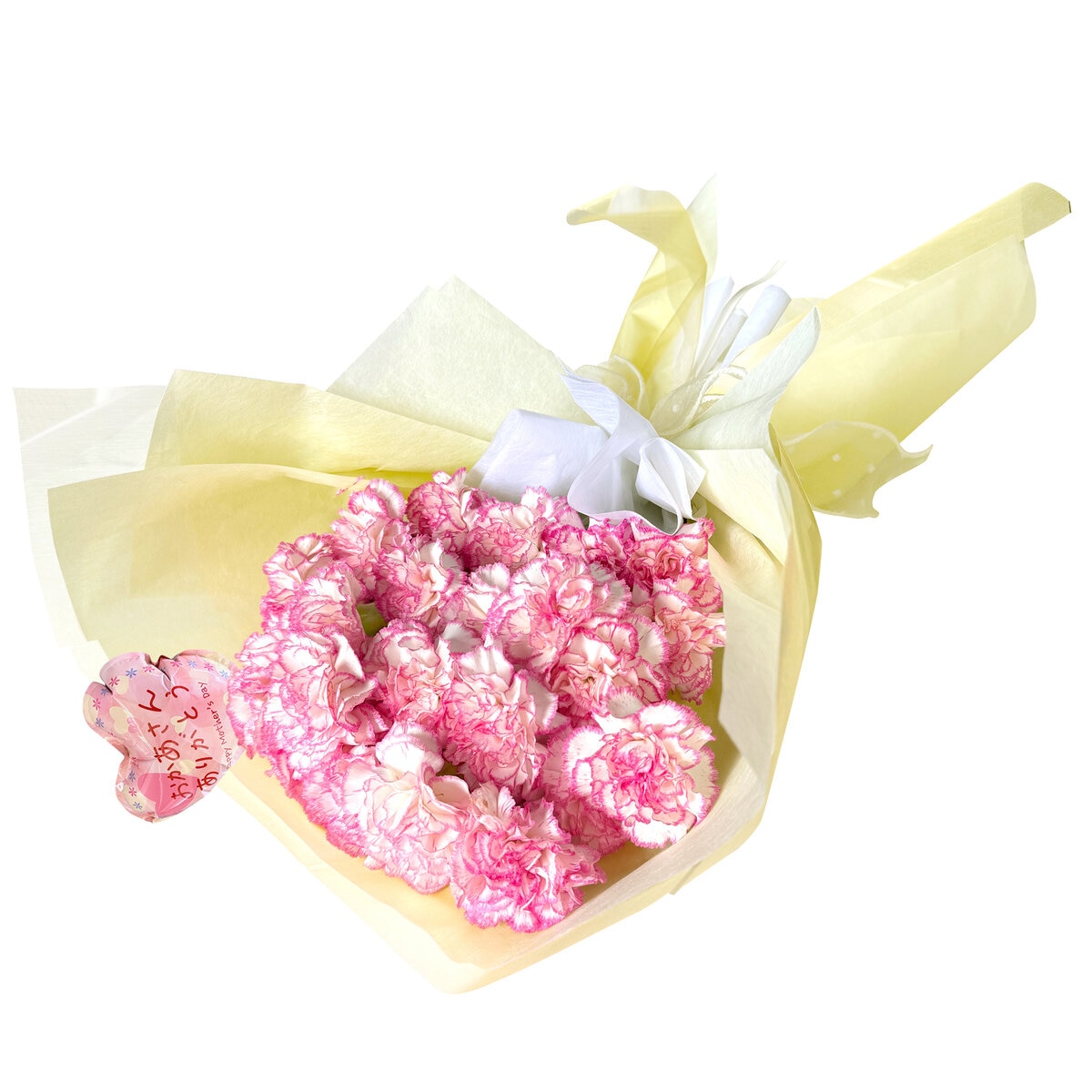 カーネーションの花束 24本 複色/ピンク白 母の日期間配送 お届け日5月5日～5月10日