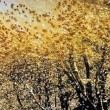 クリスタルアート ノスタルジック 63 x 53cm