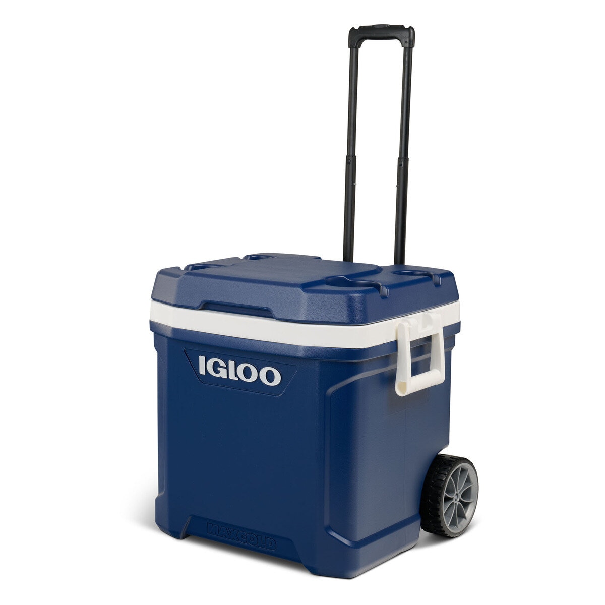 イグルー マックスコールド６２ＱＴ（５８Ｌ）クーラーボックス