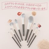 ENERGY メイクブラシ9本セット 芳華シリーズ