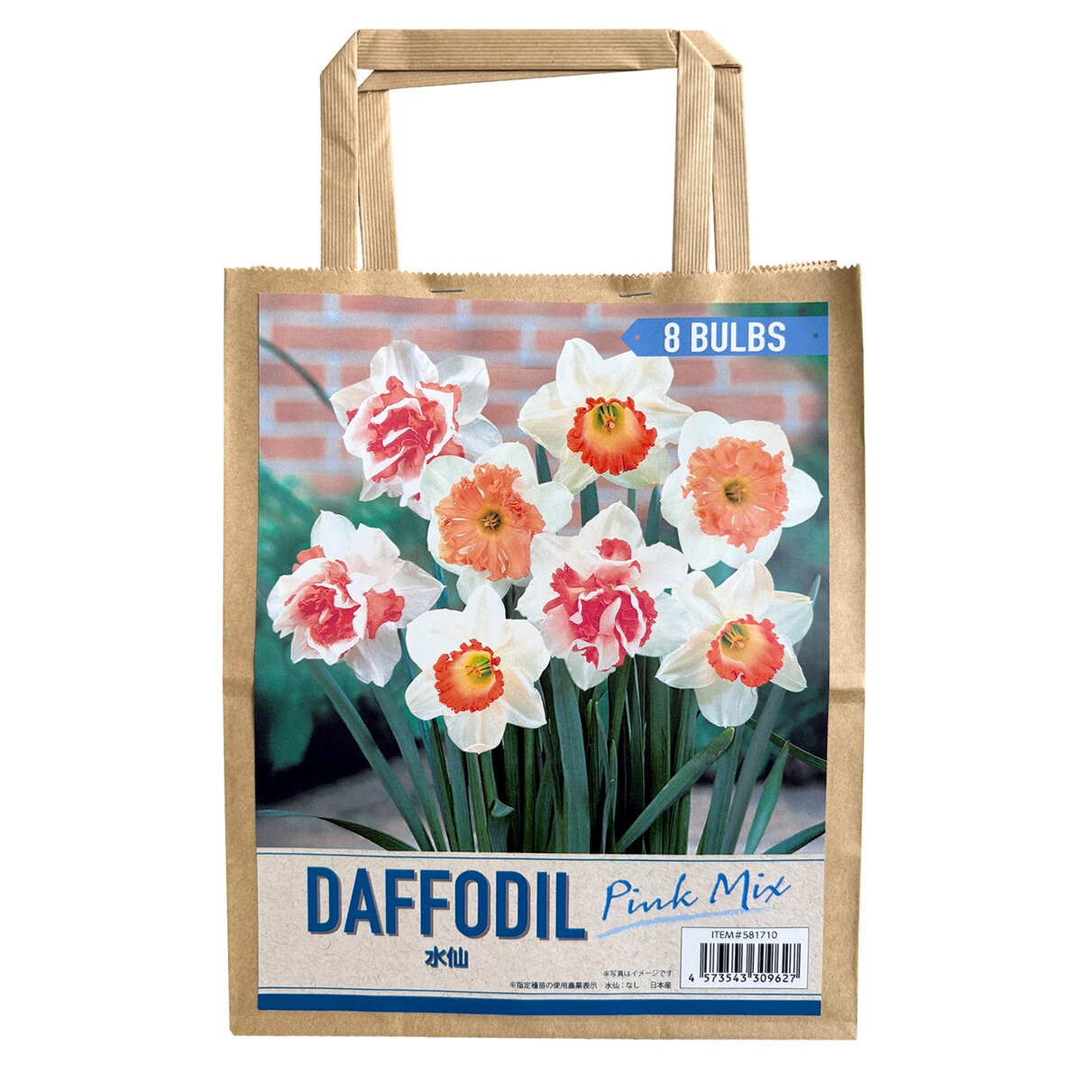 秋植え球根 水仙 ピンクミックス 8球