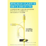 Anker（アンカー）USB急速充電器 20W ピチューモデル