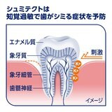 シュミテクト コンプリートワンEX 90g