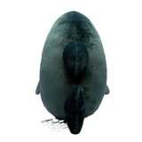 mofusand 大きなぬいぐるみ サメニャン