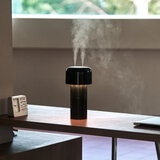 LUMENA コードレスデスク加湿器 2個入り ホワイト + グリーン