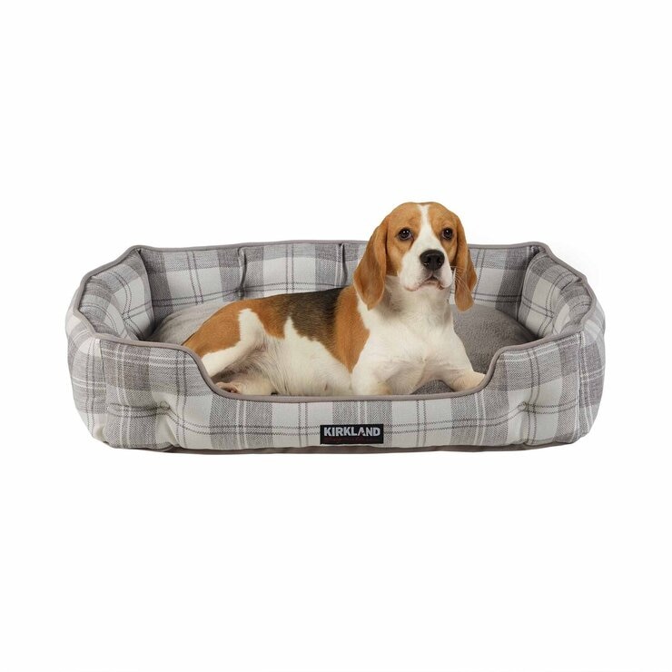 327397913427998.jpg