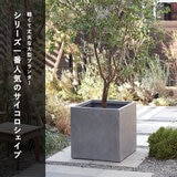 ヤマテー ベータ キューブプランター S 36cm ホワイト ZZ-C14W36E