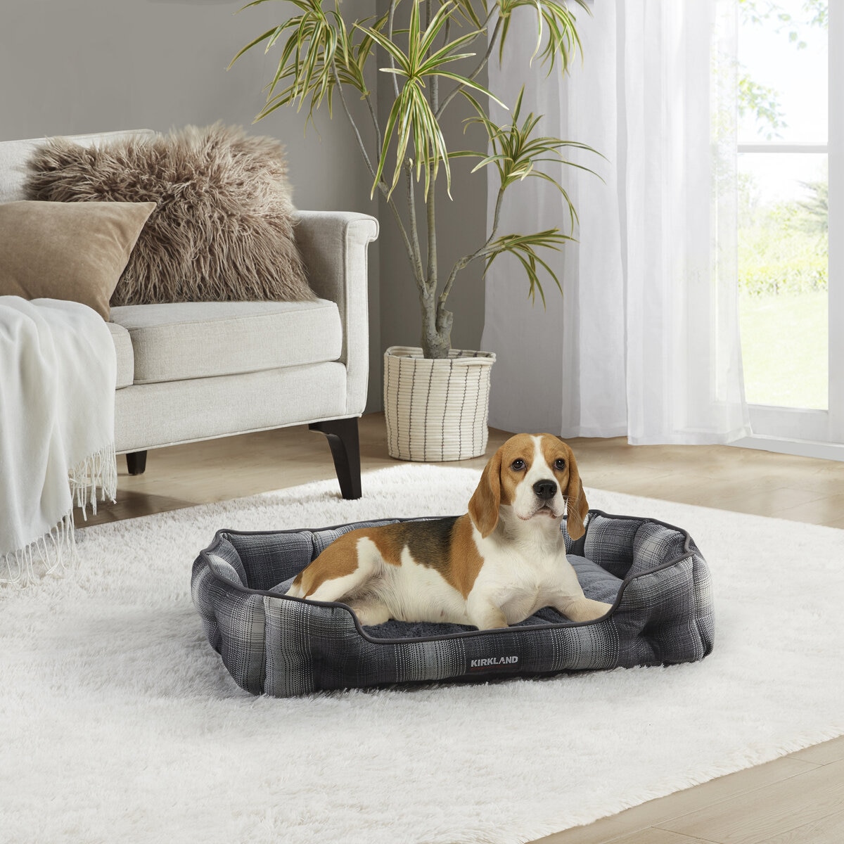 現在コストコで販売されてる犬用ベッドで一番大きいカークランド