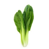 青梗菜 600G