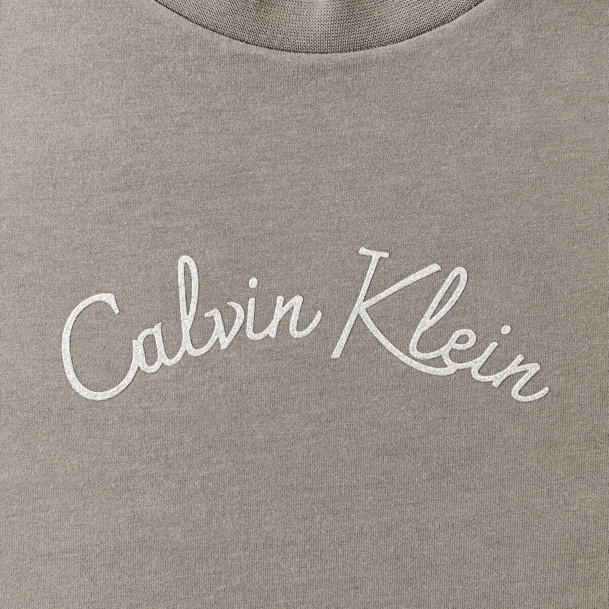 カルバンクライン レディース 半袖ロゴTシャツ ピューター XL