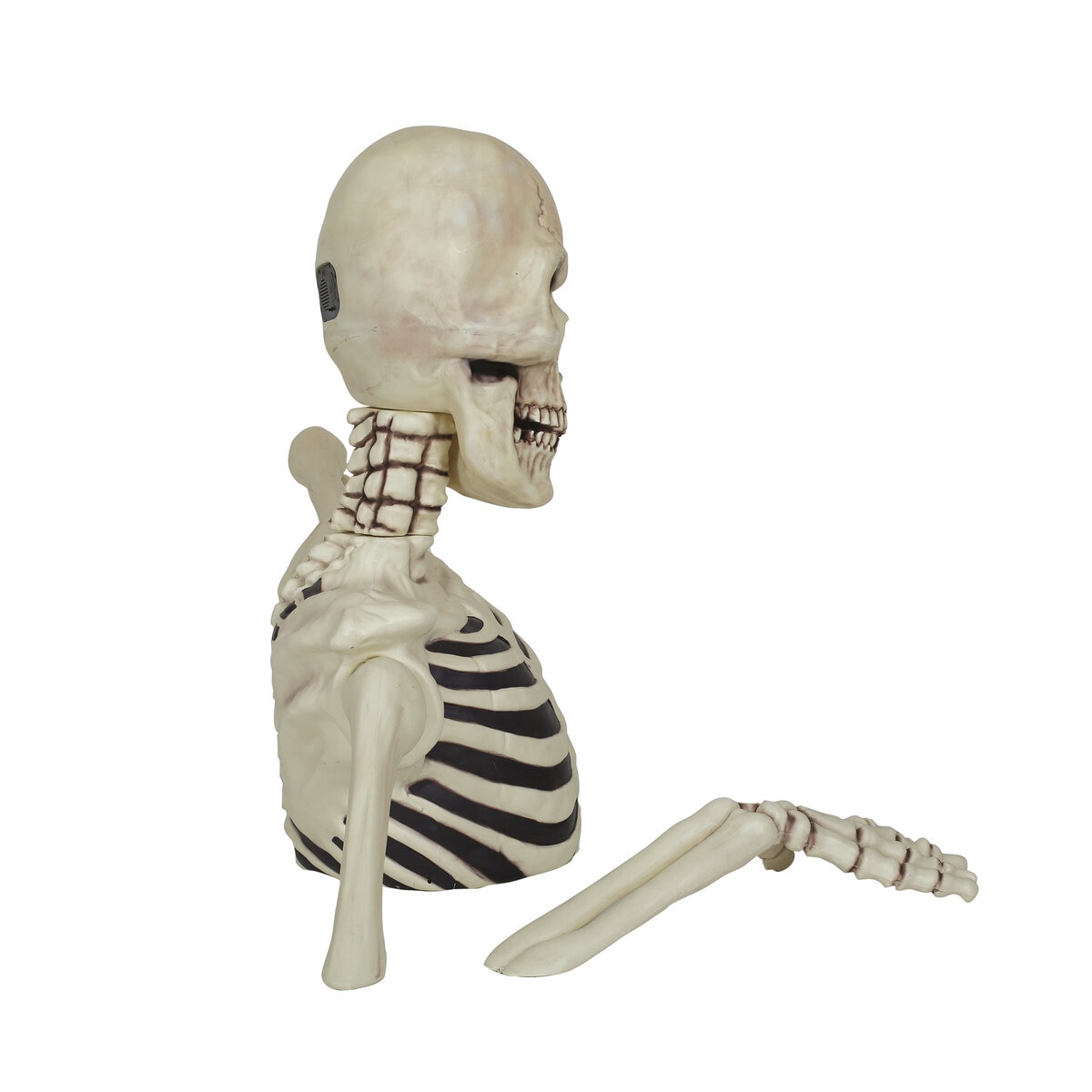 ジャイアント グラウンドブレイキング スケルトン ジャイアント グラウンドブレイキング スケルトン