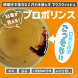 プロポリンス 汚れが見える マウスウォッシュ 1L x 3本セット
