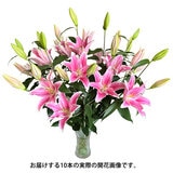 オリエンタル百合の花束 10本 ピンク 母の日期間配送 お届け日5月6日～5月11日