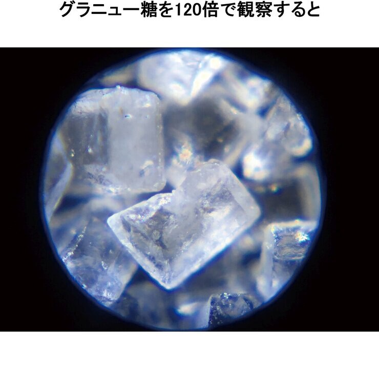 自然観察 4点セット 自然観察 4点セット