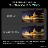ハイセンス 100インチ 量子ドット4K液晶スマートテレビ 100U7N ハイセンス 100インチ 量子ドット4K液晶スマートテレビ 100U7N