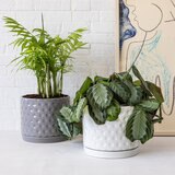 オーバー＆バック ハニカム セラミックプランター 直径20cm x 高16.5cm 2個セット ホワイト&グレー