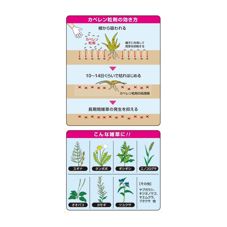 ハイポネックス カペレン粒剤 除草剤 4kg ハイポネックス カペレン粒剤 除草剤 4kg