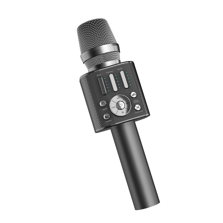 Gigastone カラオケマイク KM8500 ブラック | Costco Japan