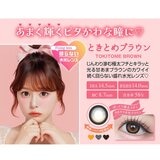 シャプン ワンデー ときとめブラウン 10枚入り 齊藤なぎさイメージモデルカラコン 度なし (±0.00)