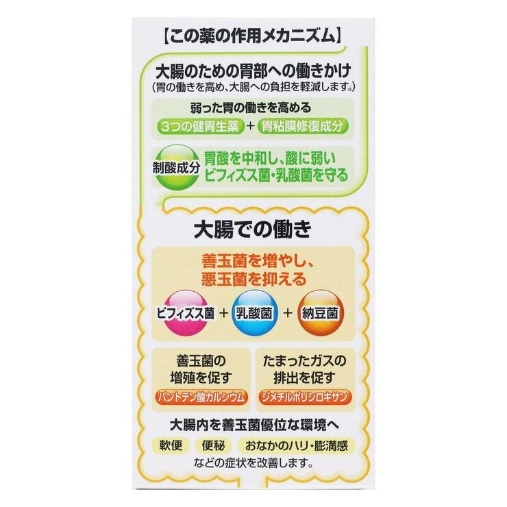 【第3類医薬品】ザ・ガード整腸錠α3+ 550錠 【第3類医薬品】ザ・ガード整腸錠α3+ 550錠