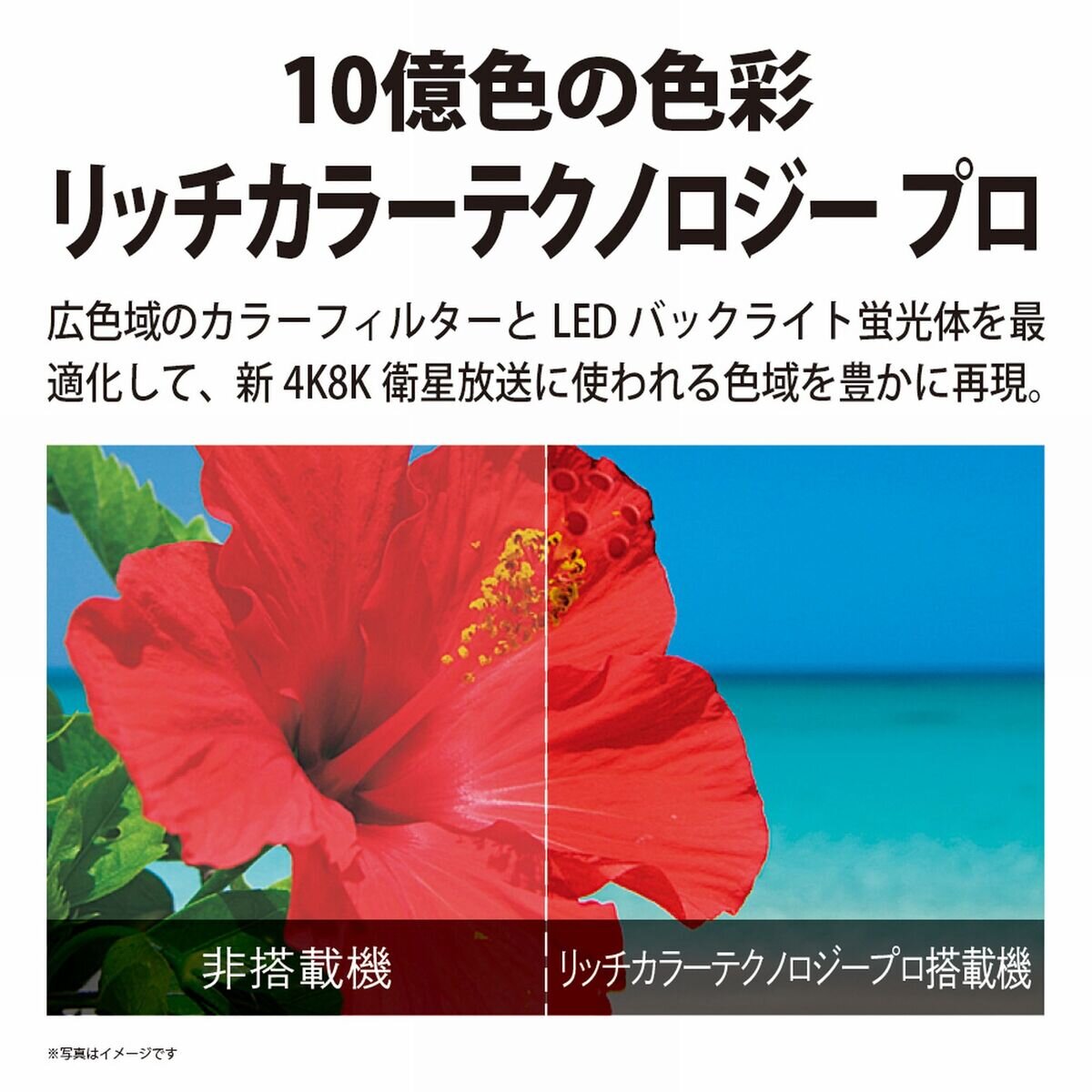 シャープ アクオス 60インチ 8K 液晶テレビ 8T-C60BW1