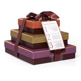 チョコデリス ベルギーチョコレートボックス 490g