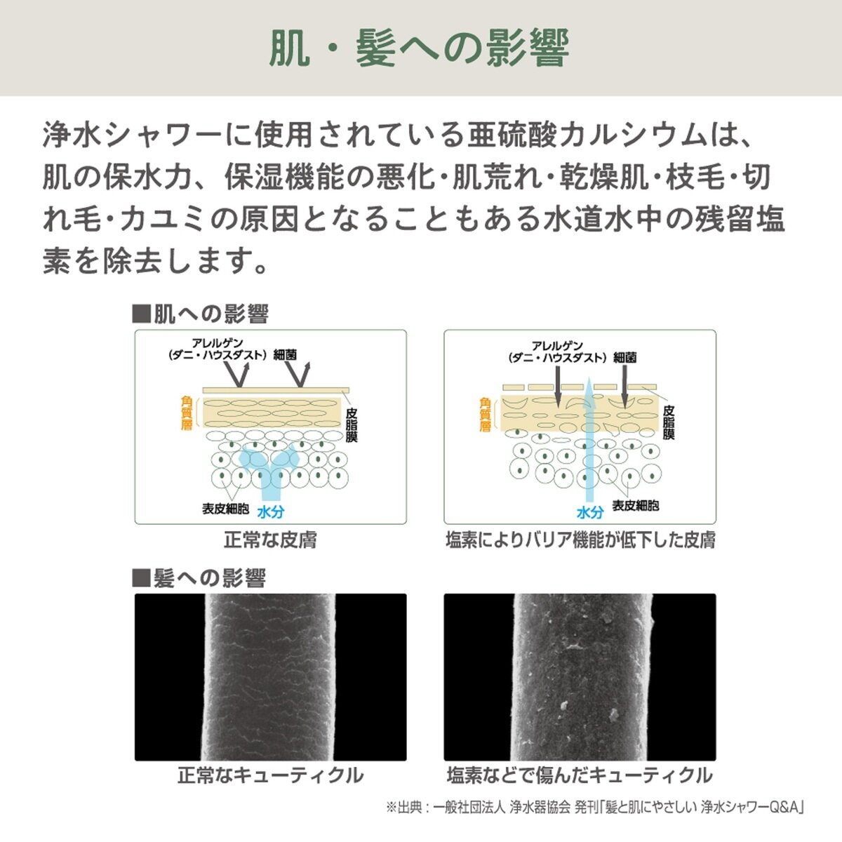 SANEI（サンエイ） ウルトラファインバブル 浄水ミストシャワーヘッド PS7010CD