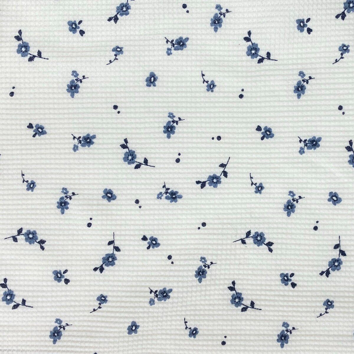 フルーツ オブ ザ ルーム 長袖 ラウンジウェアセット ブルー L