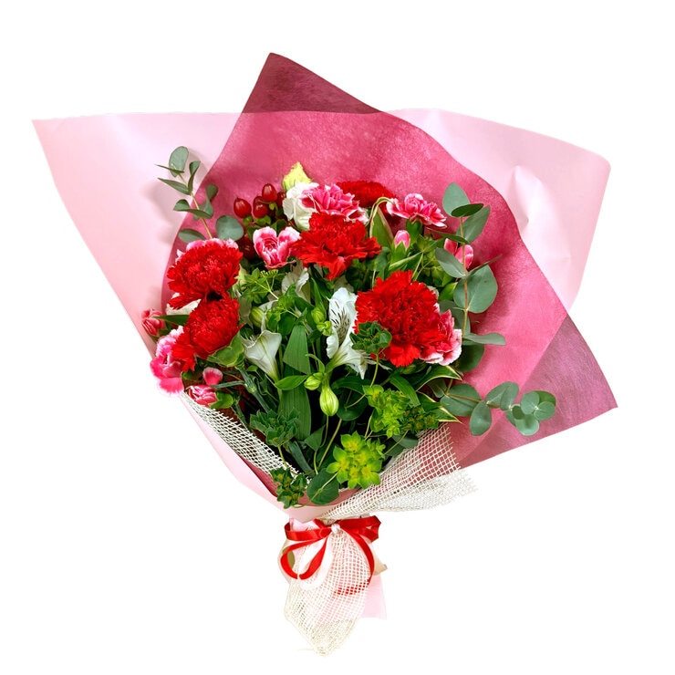 カーネーションの花束 レッド 母の日期間配送 お届け日5月4日～5月10日