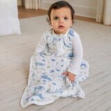 エイデンアンドアネイ オーガニックスリーピングバック 　アウトドア