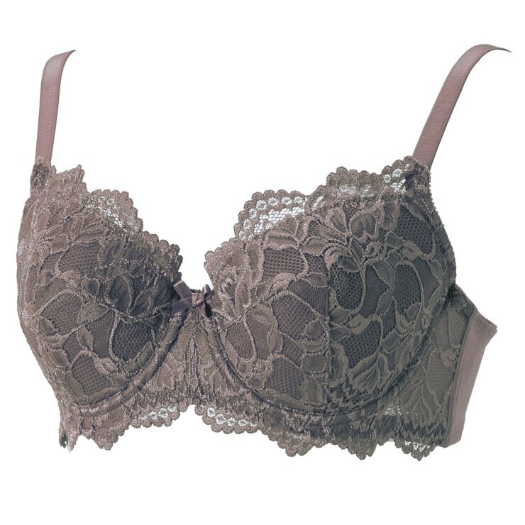 トリンプ・インターナショナル・ジャパン レースブラ モカ E85