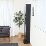 コレクションラック TOR ハイタイプミラー付き